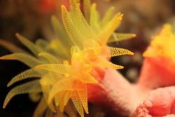 Dive Centre Equinox, Marsa Alam - Red Sea.